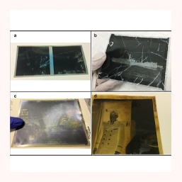 Photographic Film Acetate Scanning